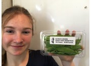 SPRAY FREE SNOW PEAS  100 Gram Punnet 